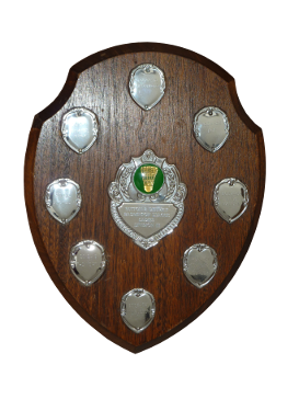 Cup Ladies Division 3