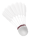 shuttlecock